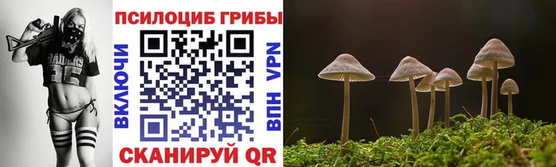 гидра tor  Алексин  Галлюциногенные грибы мухоморы 