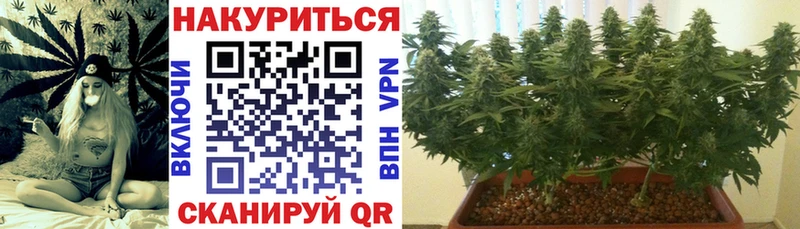 МЕГА ТОР  даркнет как зайти  Марихуана сатива  Алексин 